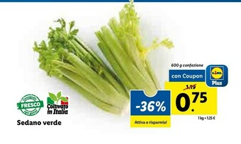 Lidl Sedano verde offerta