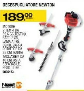 Bricofer Decespugliatore offerta