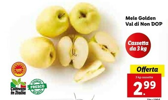 Lidl Mele golden offerta