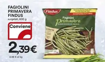 Ipercoop FAGIOLINI PRIMAVERA FINDUS surgelati, 600 g offerta