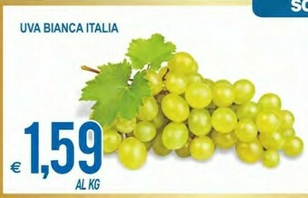 MD Discount Uva bianca italia offerta