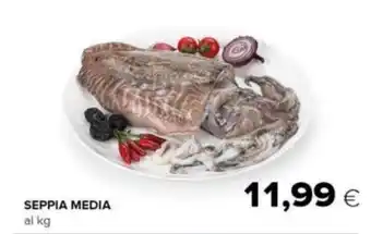 Oasi SEPPIA MEDIA offerta