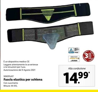 Fascia elastica per schiena