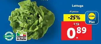 Lidl Lattuga offerta