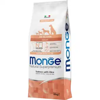 Ayoka MONGE offerta