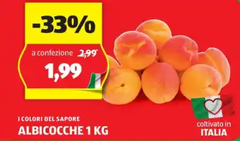 ALDI I COLORI DEL SAPORE ALBICOCCHE 1 KG offerta