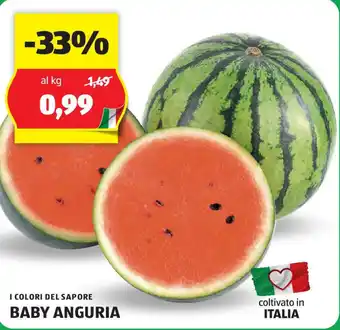 ALDI I COLORI DEL SAPORE BABY ANGURIA offerta