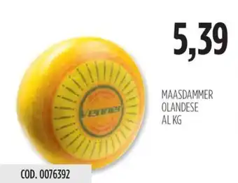 MAASDAMMER OLANDESE