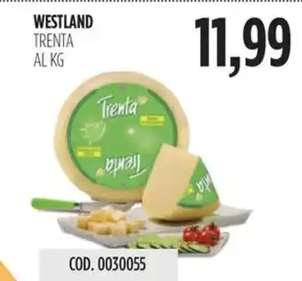 Carico Cash & Carry WESTLAND TRENTA offerta