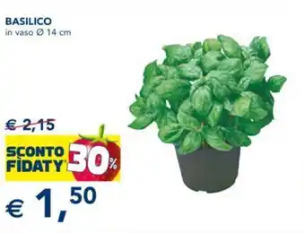Esselunga BASILICO offerta