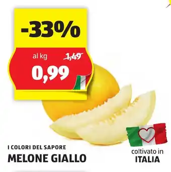 ALDI I COLORI DEL SAPORE MELONE GIALLO offerta