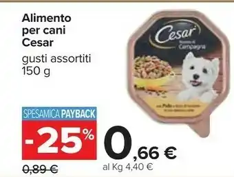 Carrefour Alimento per cani offerta