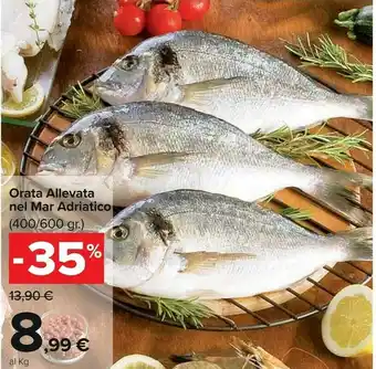 Carrefour Orata allevata nel mar adriatico offerta