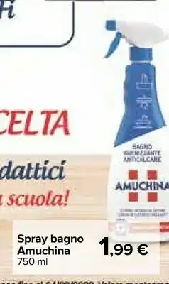 Carrefour Spray bagno offerta