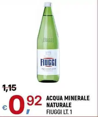 A&O ACQUA MINERALE NATURALE FIUGGI LT. 1 offerta
