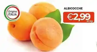 ALBICOCCHE