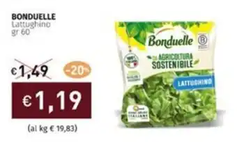Prezzemolo e Vitale BONDUELLE Lattughino gr 60 offerta