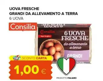 Tigre Uova fresche grandi da allevamento offerta
