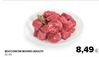 Tigre Bocconcini bovino adulto offerta