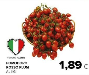 Tigre Pomodoro rosso plum offerta