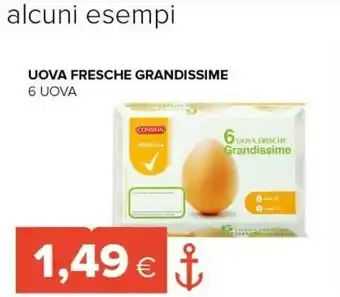 Tigre Uova fresche grandissime offerta