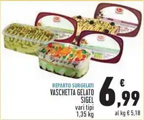 Conad VASCHETTA GELATO SIGEL vari tipi 1,35 kg offerta