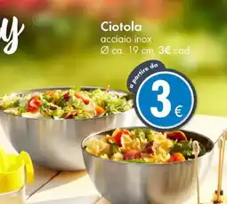Tedi Ciotola offerta