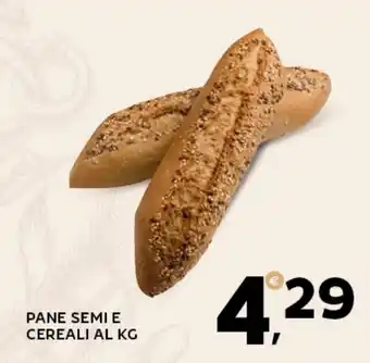 Extra Supermercati PANE SEMI E CEREALI offerta