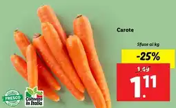 Lidl Carote offerta