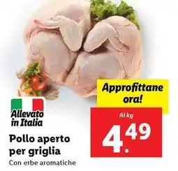 Pollo aperto per griglia