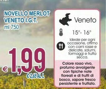 Novello merlot veneto igt