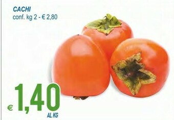 MD Discount Cachi offerta