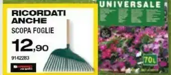 Bricofer Scopa foglie offerta