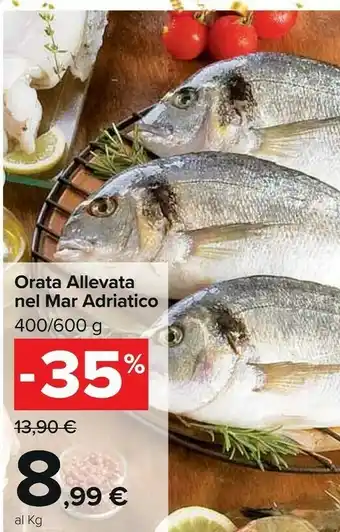 Carrefour Market Orata allevata offerta