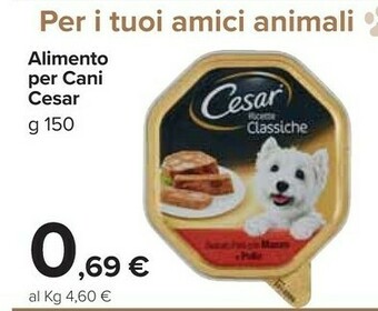 Carrefour Market Cesar alimento per cani offerta