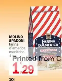 MOLINO SPADONI farina d'america manitoba