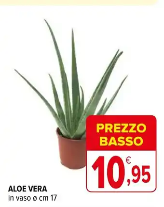 Iperal ALOE VERA offerta