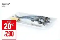 Pan Sgombro al kg. offerta