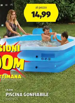ALDI CRANE PISCINA GONFIABILE offerta