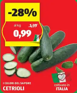 ALDI I COLORI DEL SAPORE CETRIOLI offerta