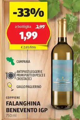 COPPIERE FALANGHINA BENEVENTO IGP 750 ml