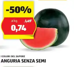 ALDI I COLORI DEL SAPORE ANGURIA SENZA SEMI offerta