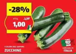 ALDI I COLORI DEL SAPORE ZUCCHINE offerta