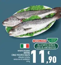 Conad Superstore OMBRINA CONAD PERCORSO QUALITÀ offerta