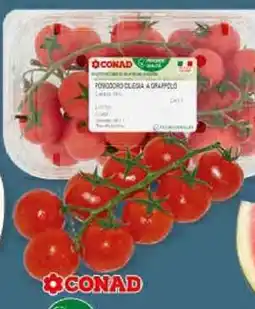 Conad POMODORO ROSSO CILIEGINO PERCORSO QUALITÀ CONAD 500 g offerta