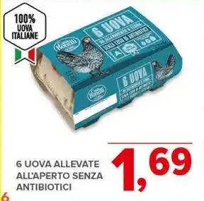 Todis 6 UOVA ALLEVATE ALL'APERTO SENZA ANTIBIOTICI offerta