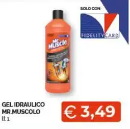 GEL IDRAULICO MR.MUSCOLO lt 1
