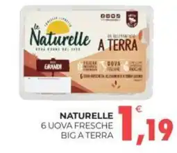 Eté NATURELLE 6 UOVA FRESCHE BIG A TERRA offerta