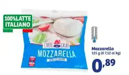 In'S Mercato Mozzarella 125 g offerta