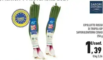 Conad City Conad - cipollotto rosso di tropea igp sapori & dintorni 250 g offerta